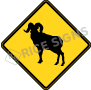 Bighorn Sheep Signs